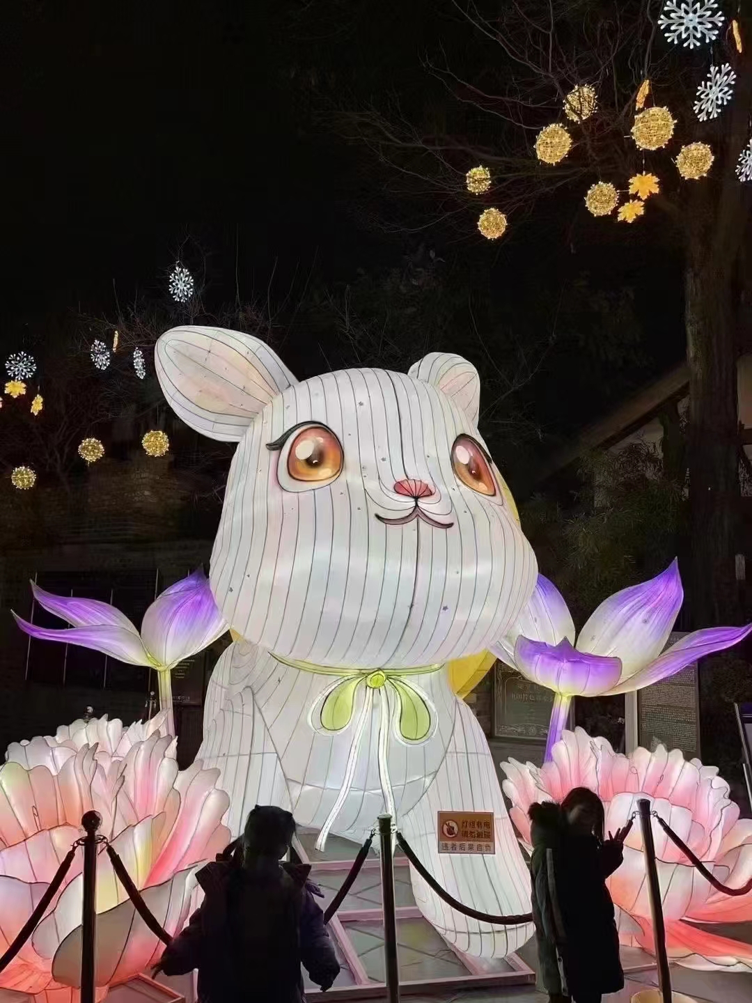 花灯彩灯，大型传统户外灯会