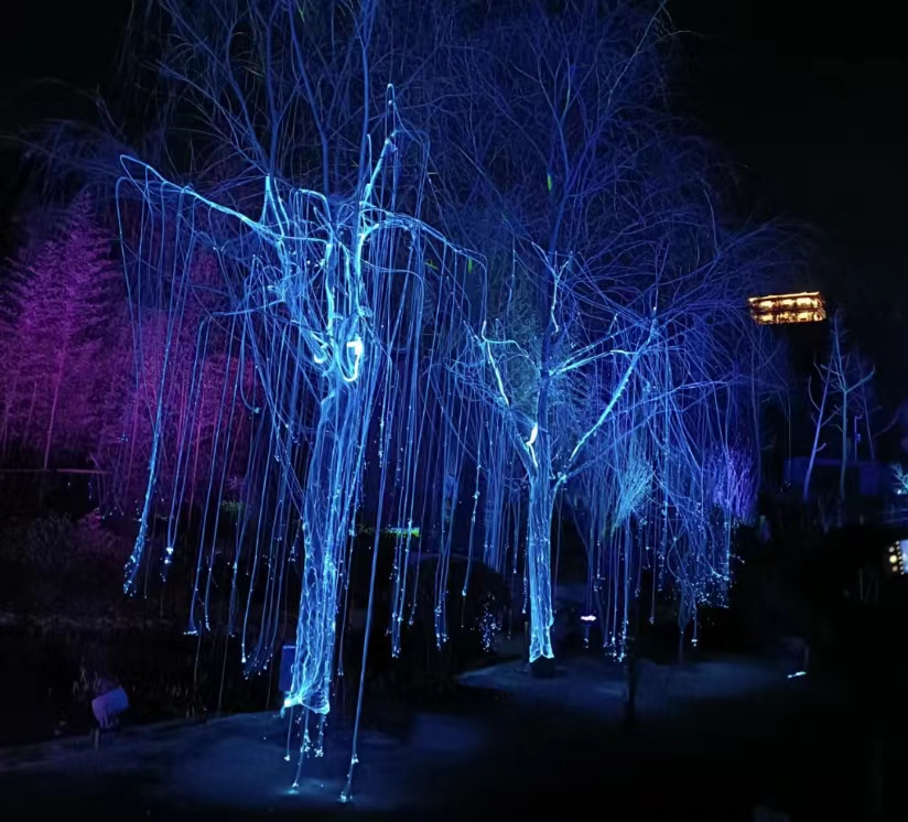 光影森林精灵世界般的夜光森林夜游