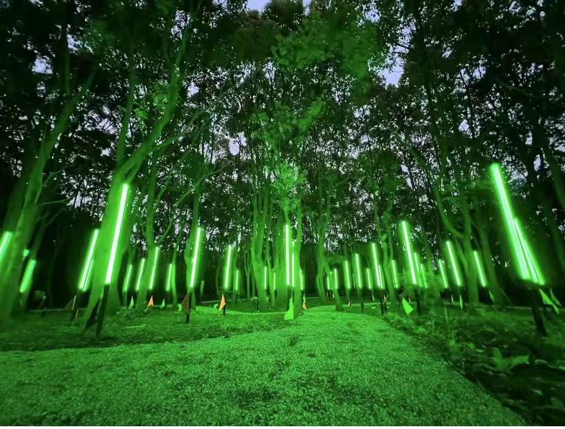 光影森林精灵世界般的夜光森林夜游