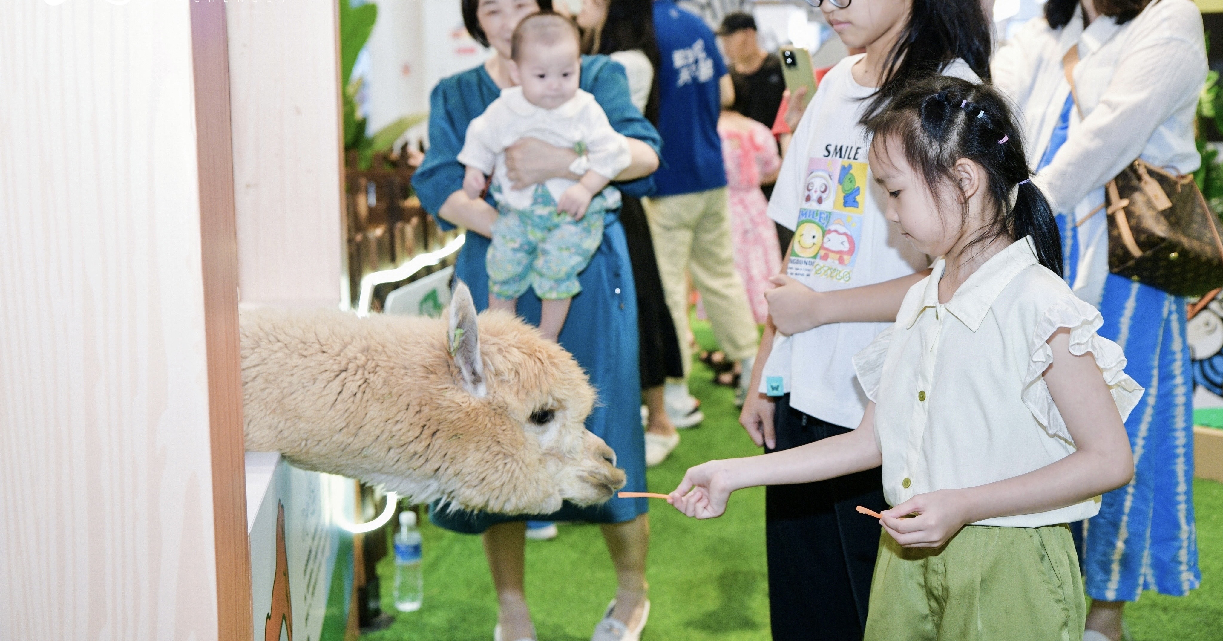 萌宠展览动物租赁