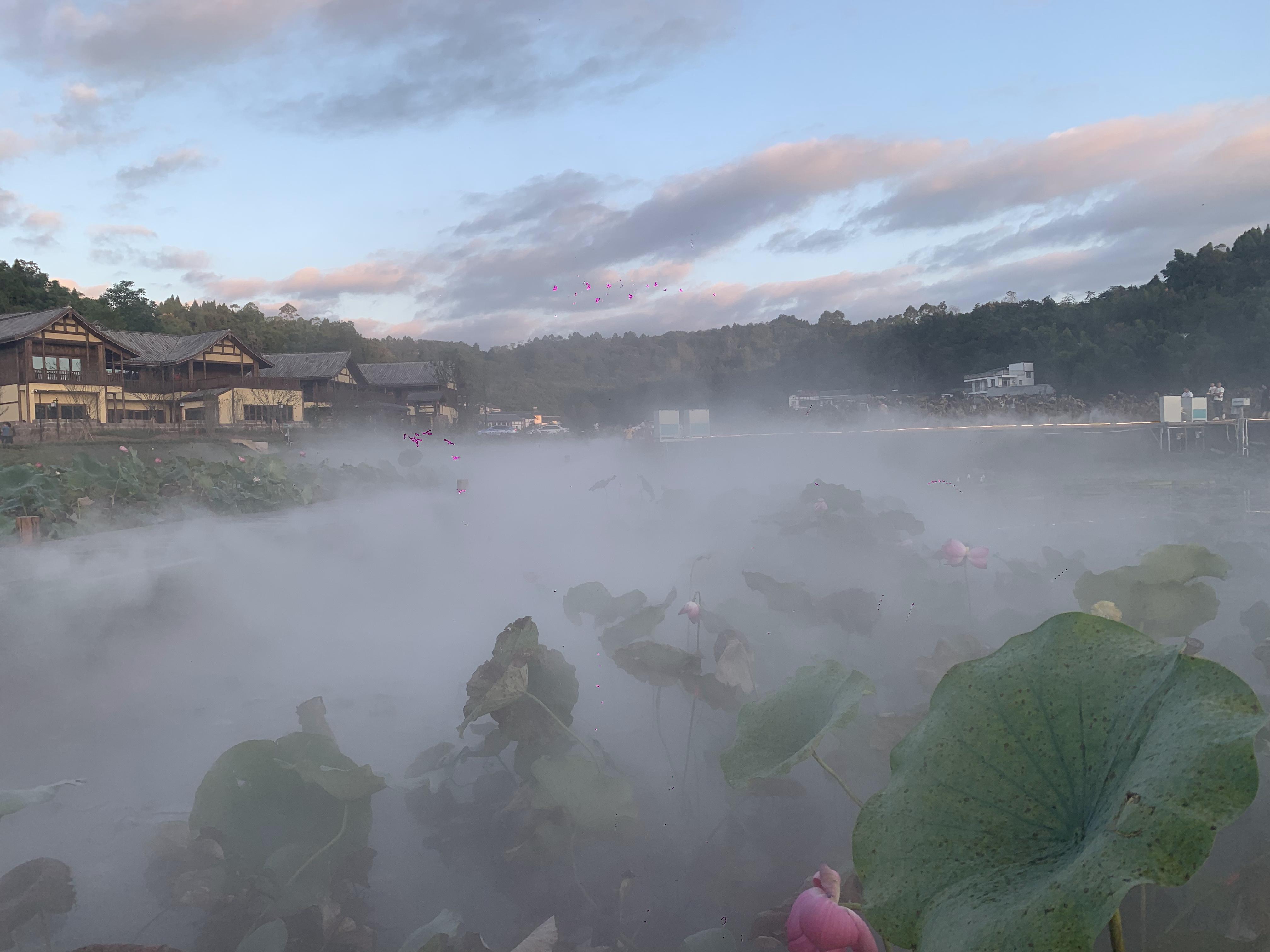 雾森系统