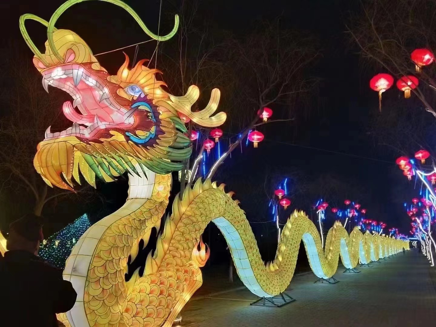 中国龙传统花灯彩灯