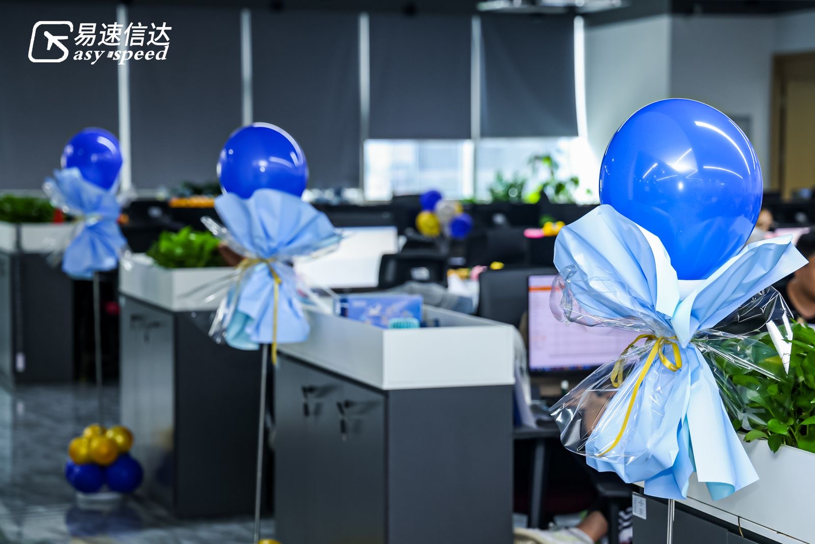 易速信达周年庆活动——音为爱文化策划落地