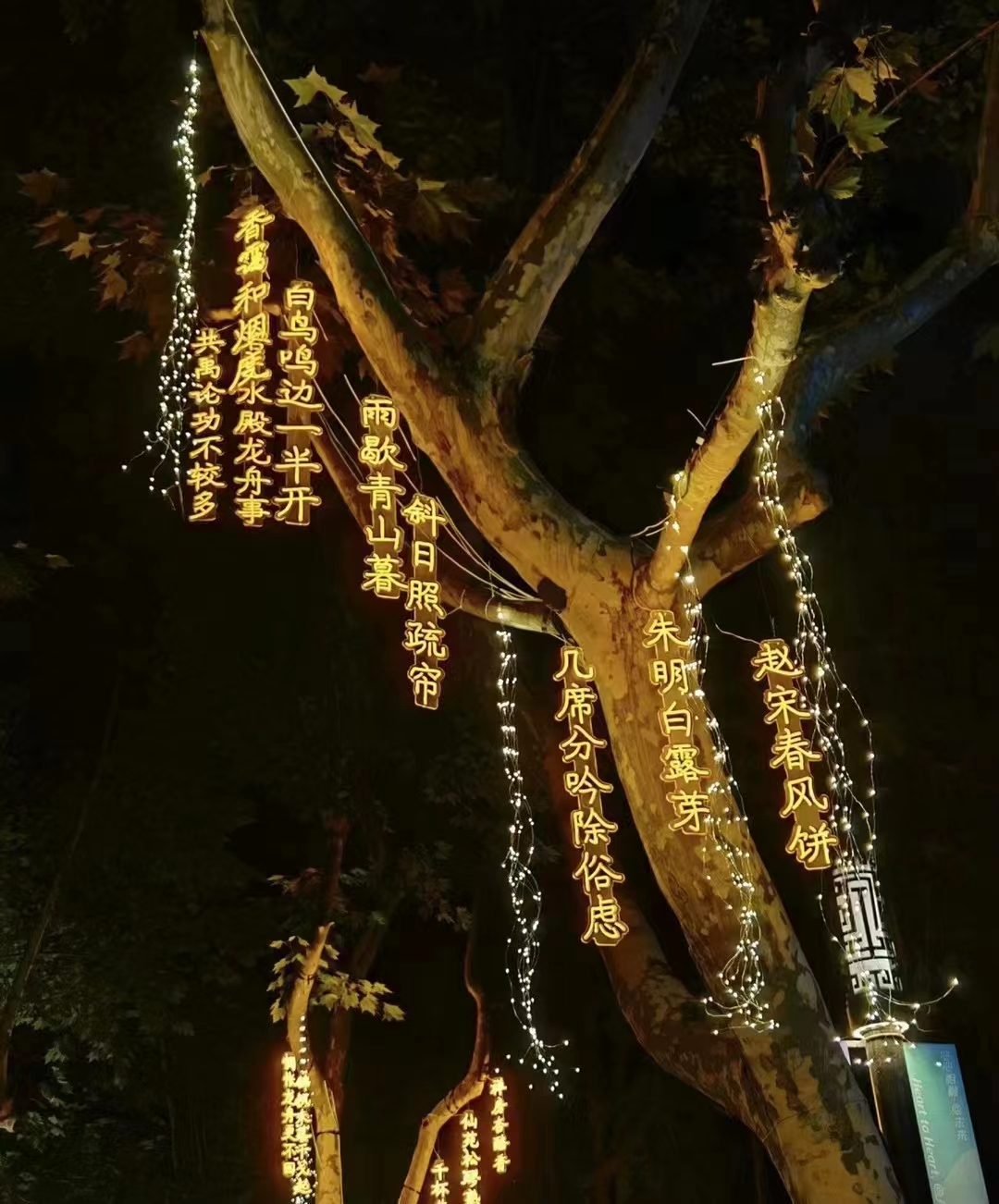 树木量化街区量化古诗词星球灯染色灯灯串藤球