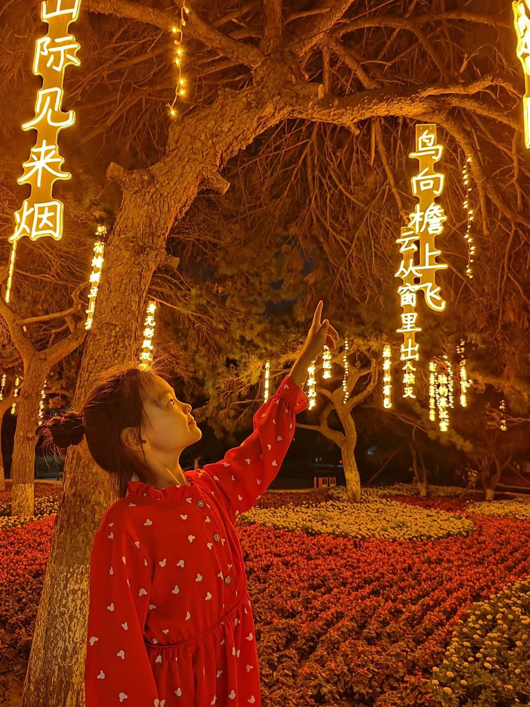 树木量化街区量化古诗词星球灯染色灯灯串藤球