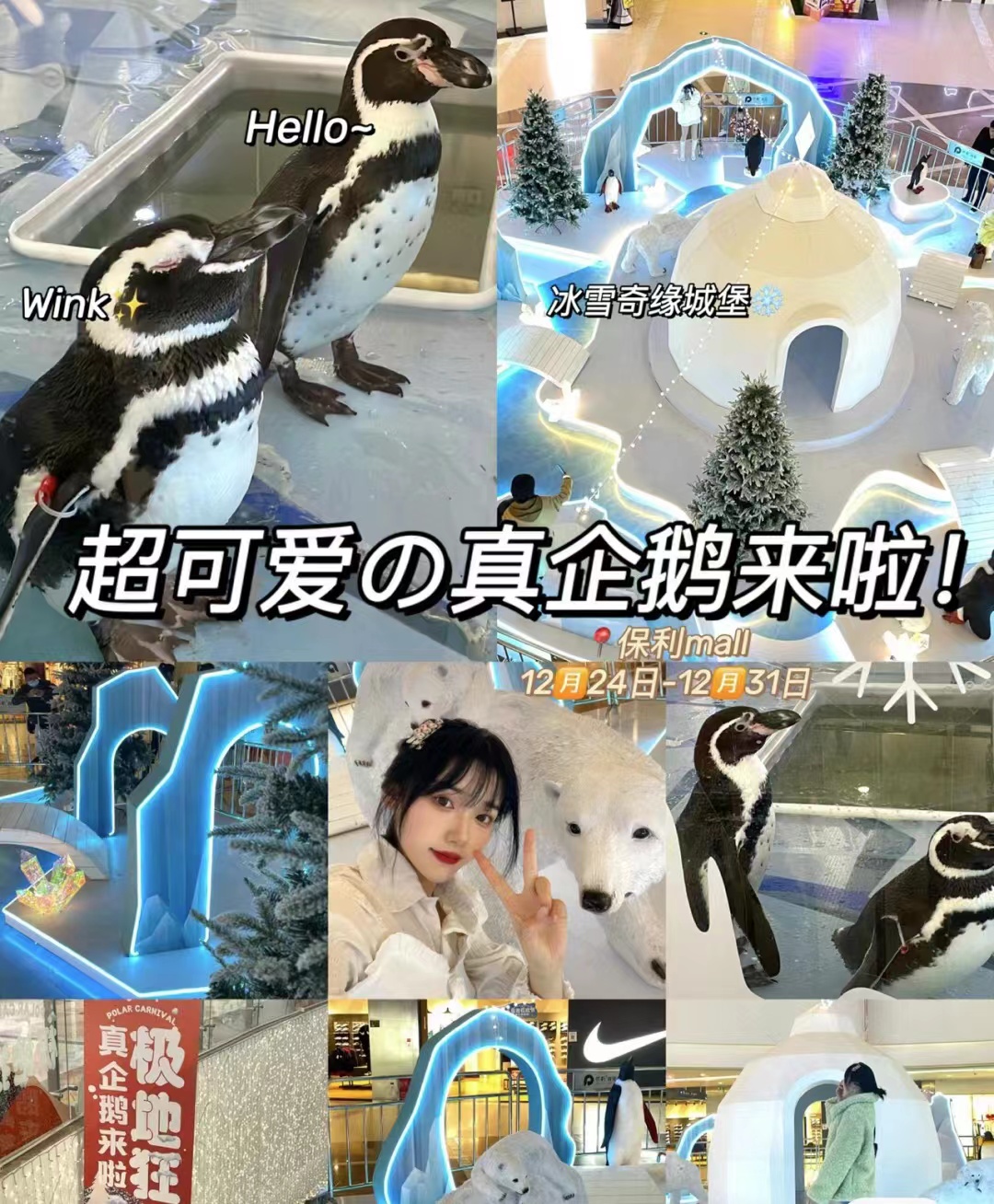 企鹅展览出租暖场引流互动人气爆棚地产商场活动