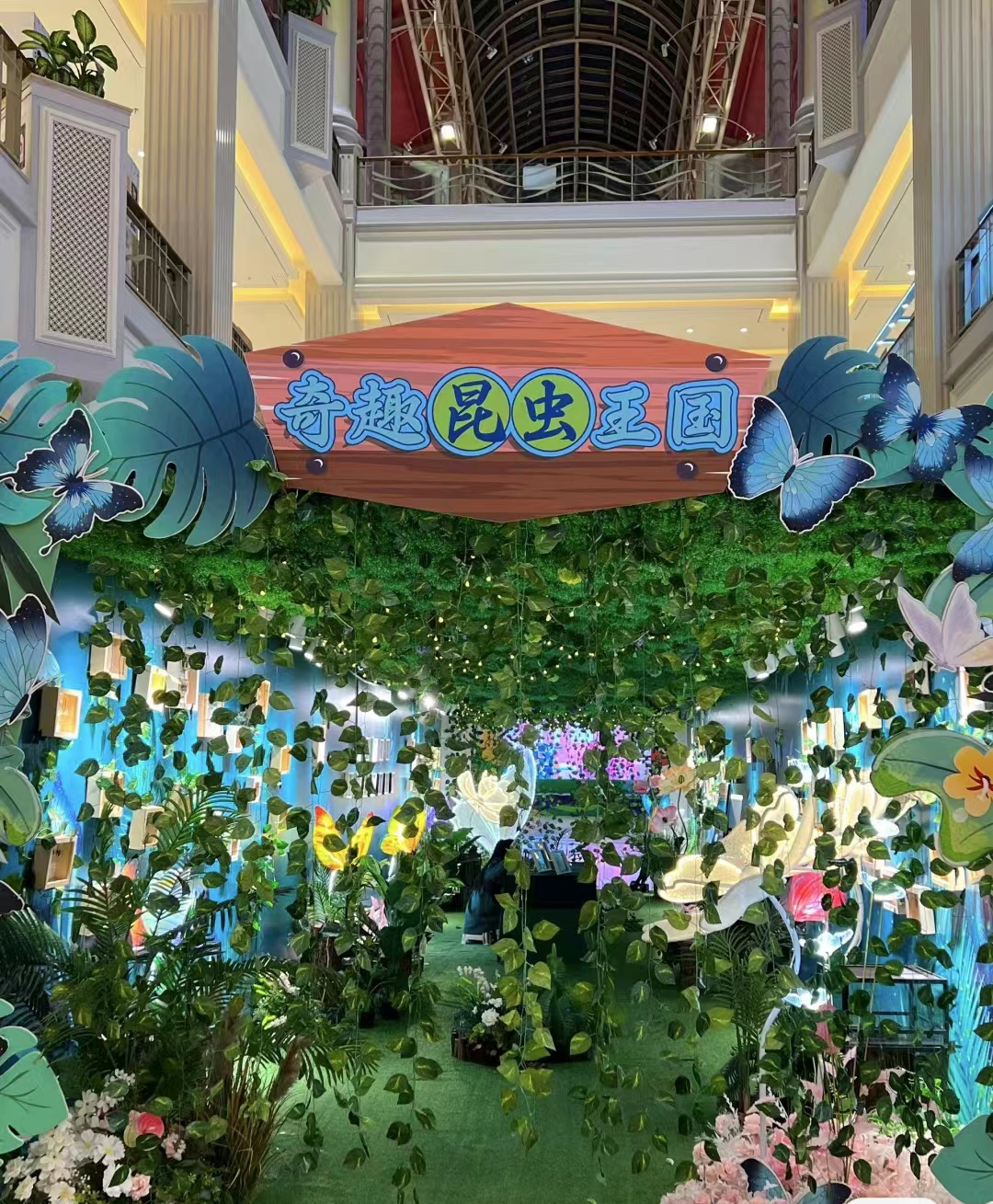 蝴蝶标本昆虫科普展览出租暖场引流活动人气火爆