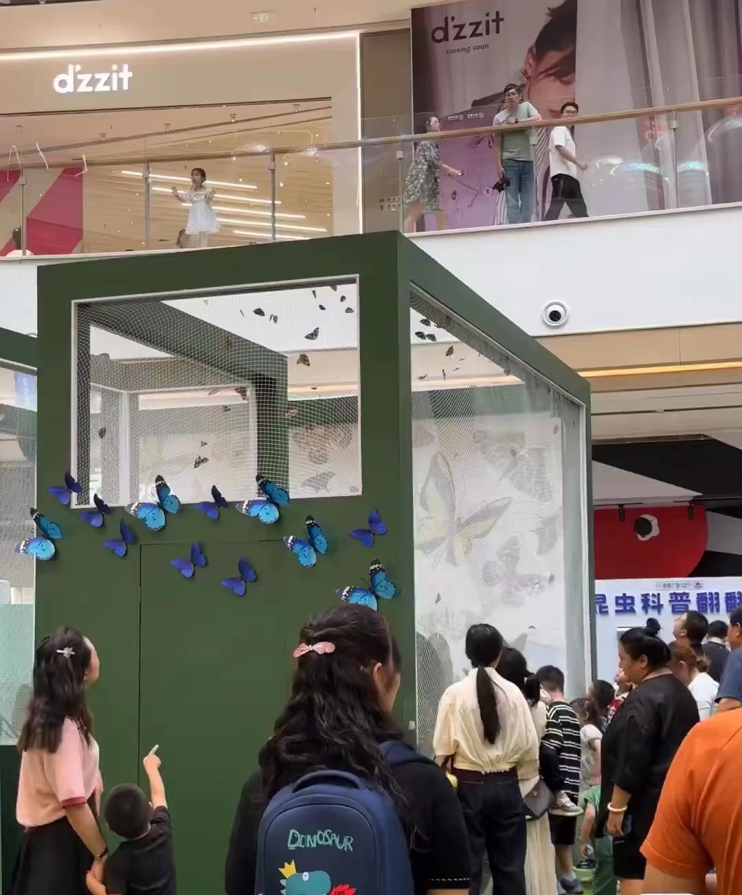 蝴蝶标本昆虫科普展览出租暖场引流活动人气火爆