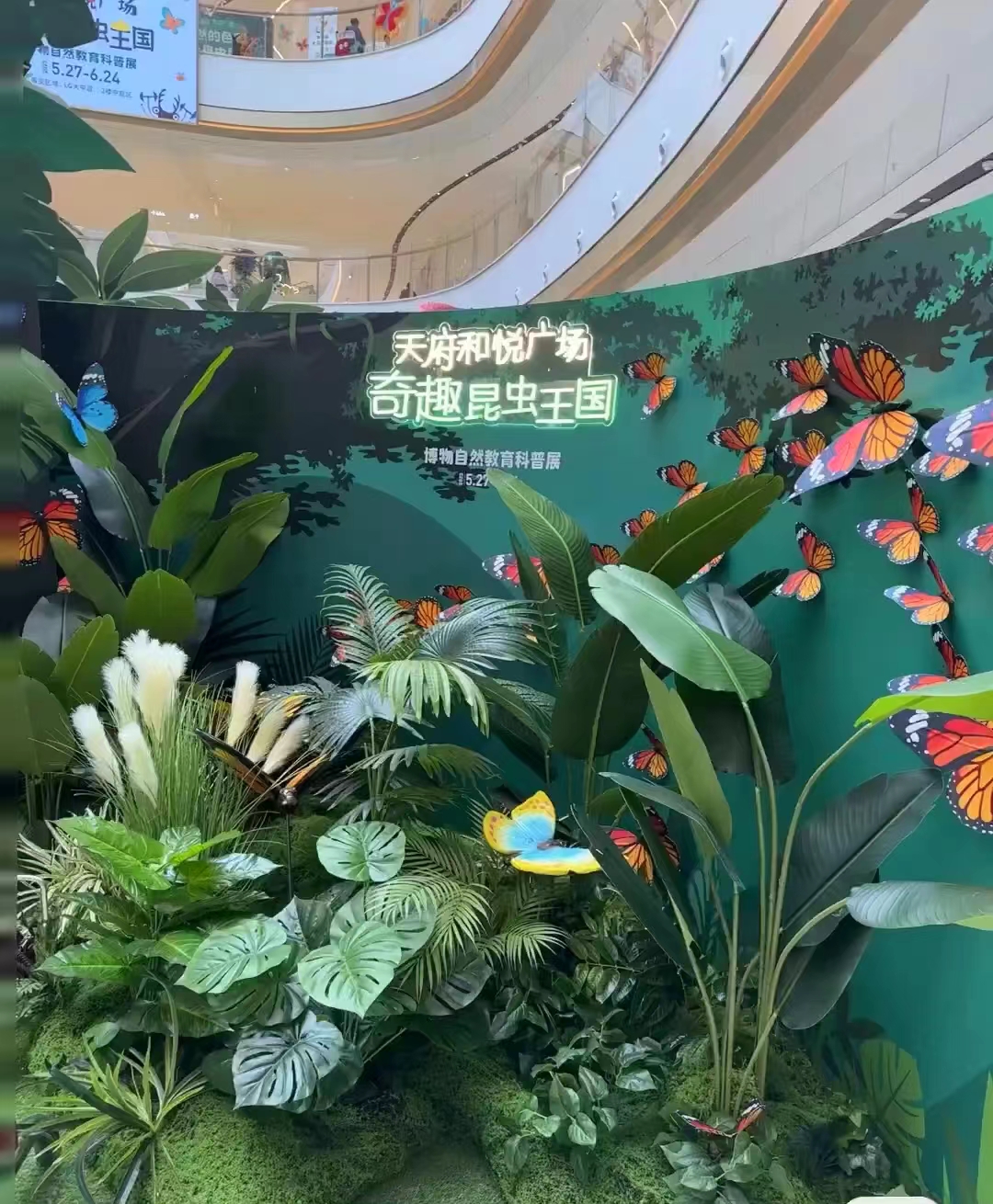 蝴蝶标本昆虫科普展览出租暖场引流活动人气火爆