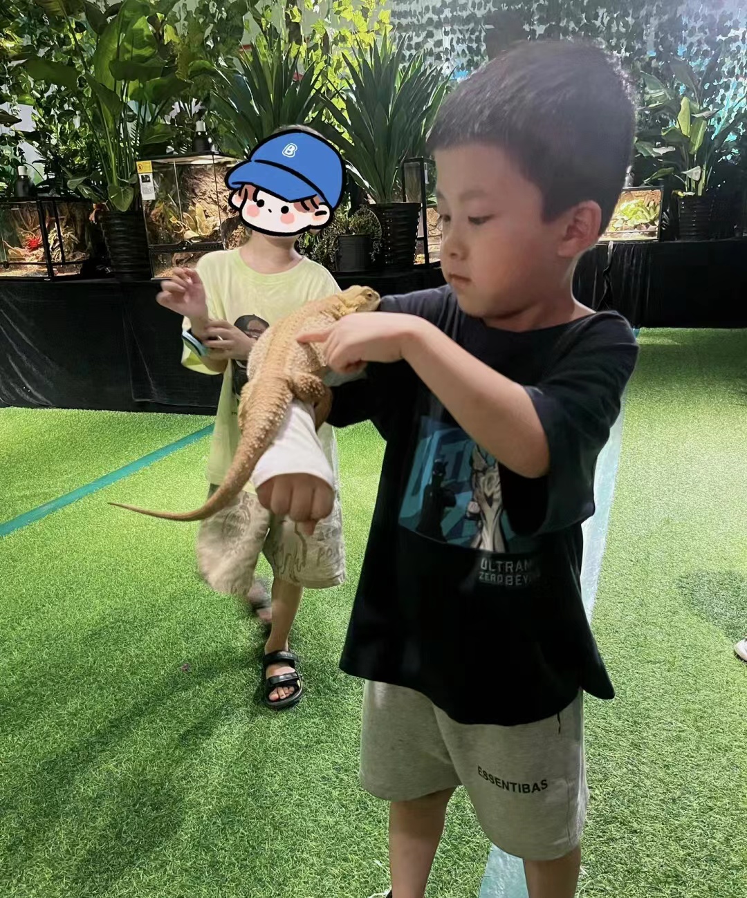 爬行动物出租科普爬行动物知识引流暖场