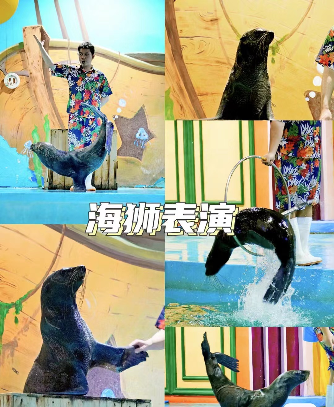 海狮表演出租春节暖场引流商场地产策划方案