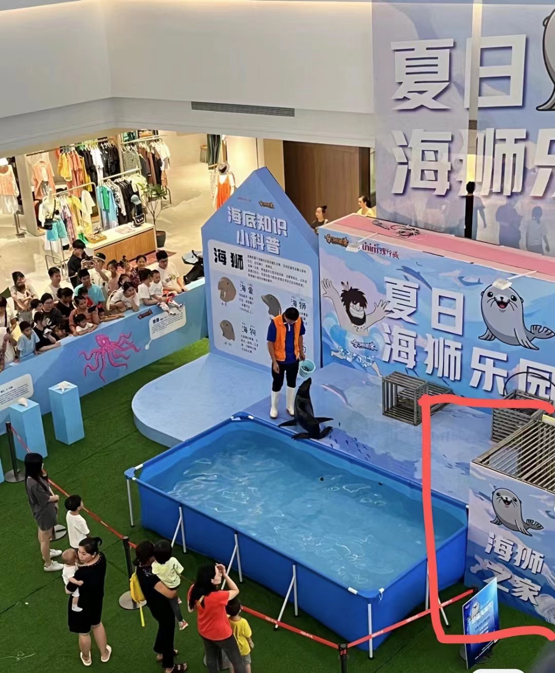 海狮表演出租春节暖场引流商场地产策划方案