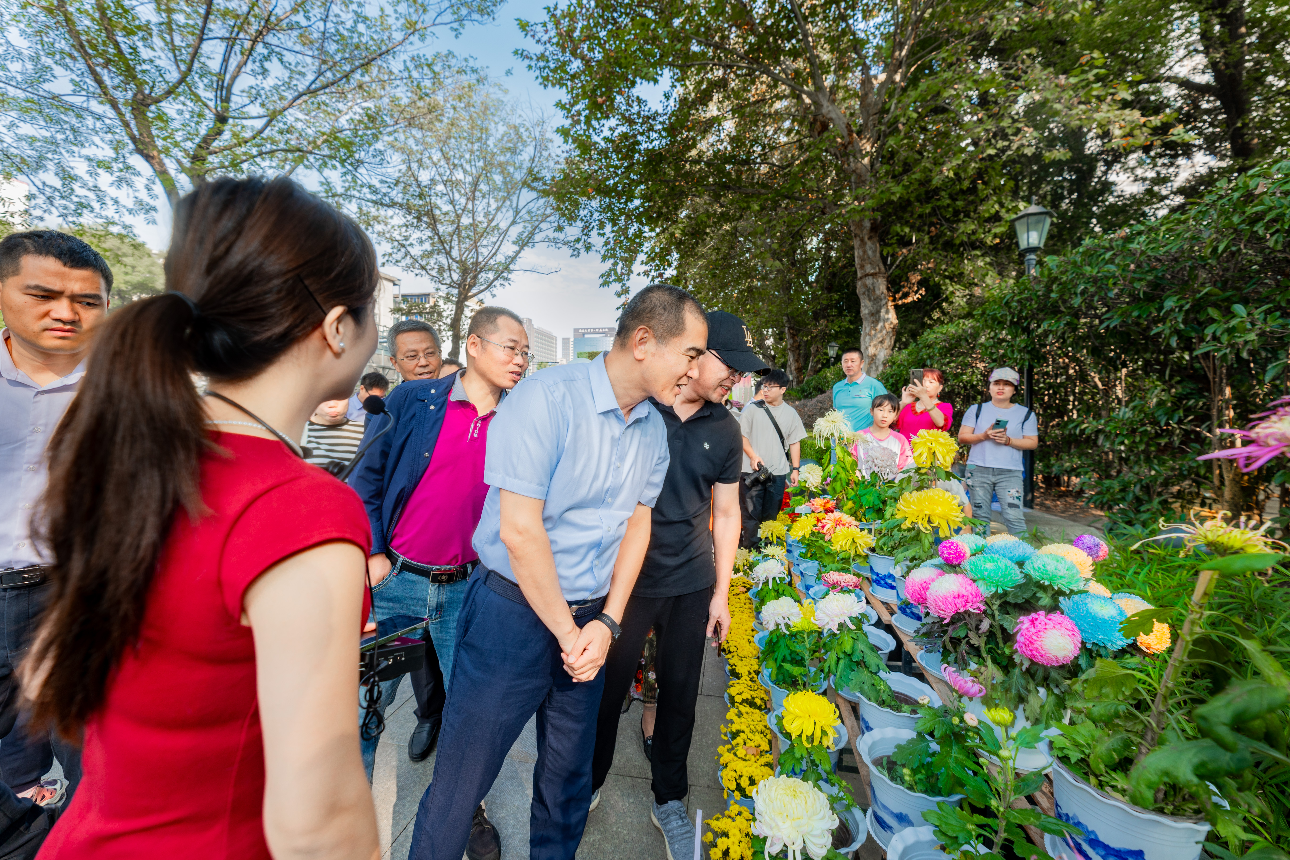 南昌第三十五届菊花展