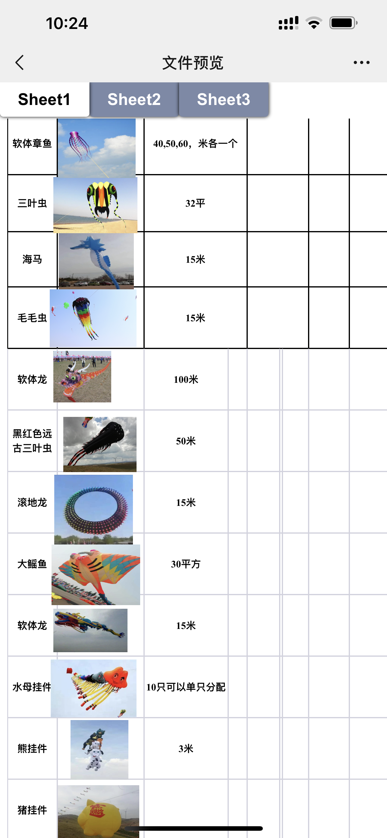 春季风筝展大型静态展览软体放飞非遗DIY