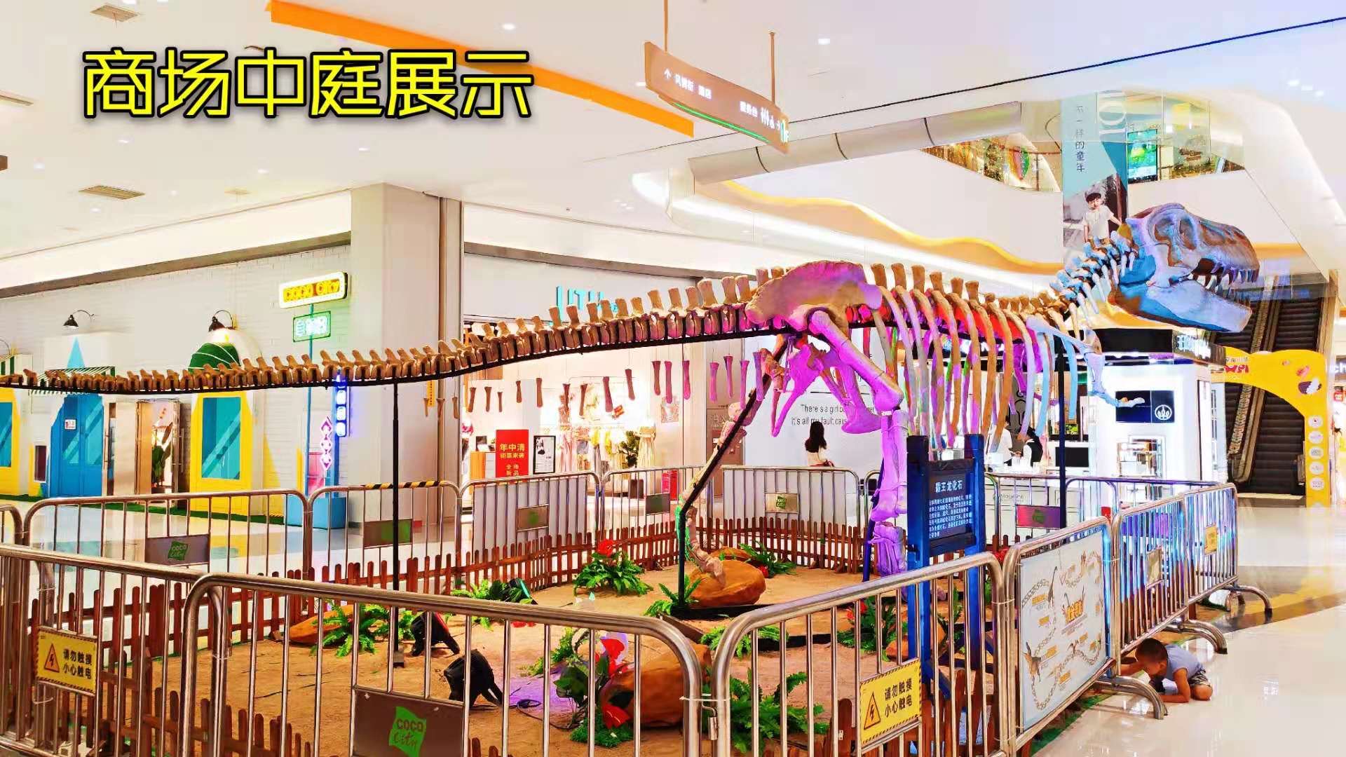恐龙展