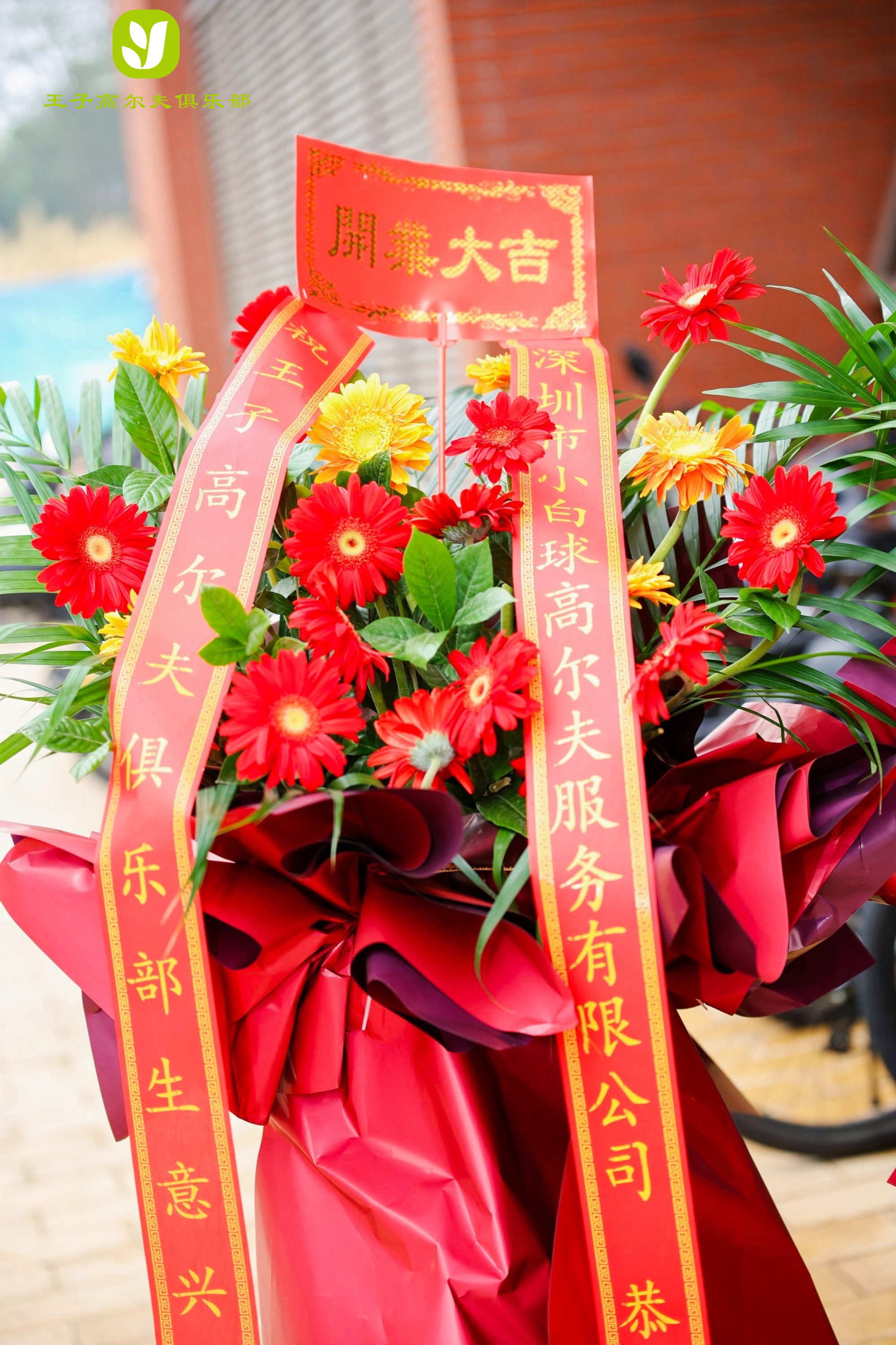 音为爱——王子高尔夫开业活动圆满落地