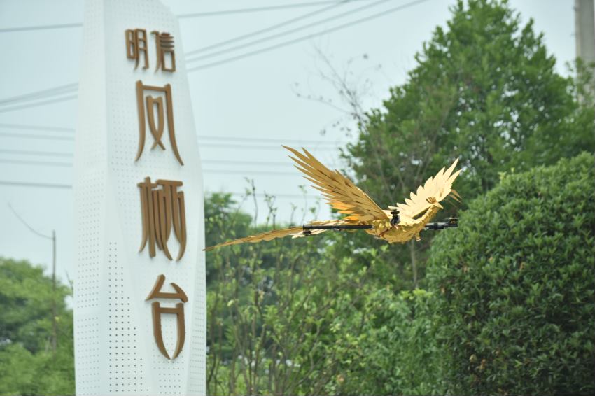 浙江湖州碧桂园IN嘉湖凤凰无人机表演