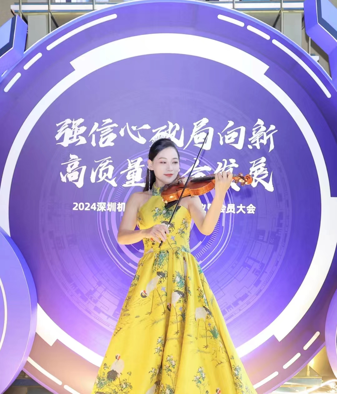 小提琴，大提琴，各种乐器