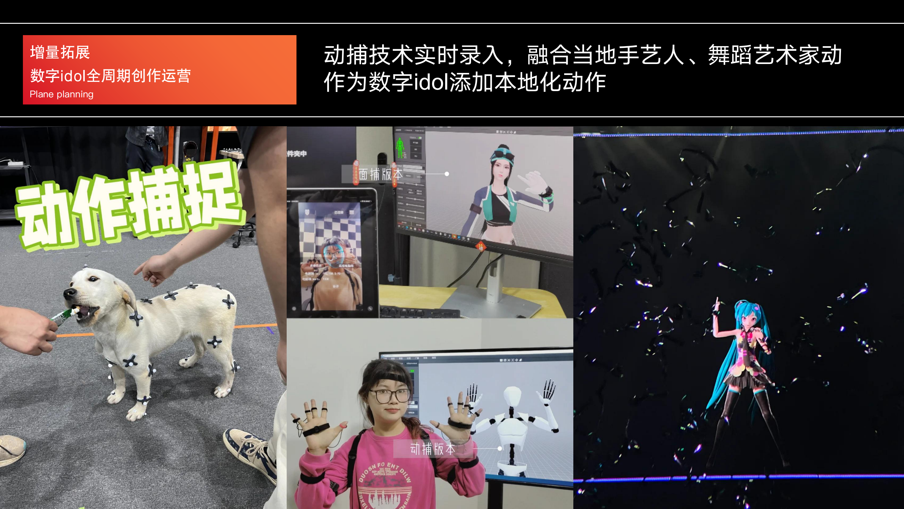 数字idol定制