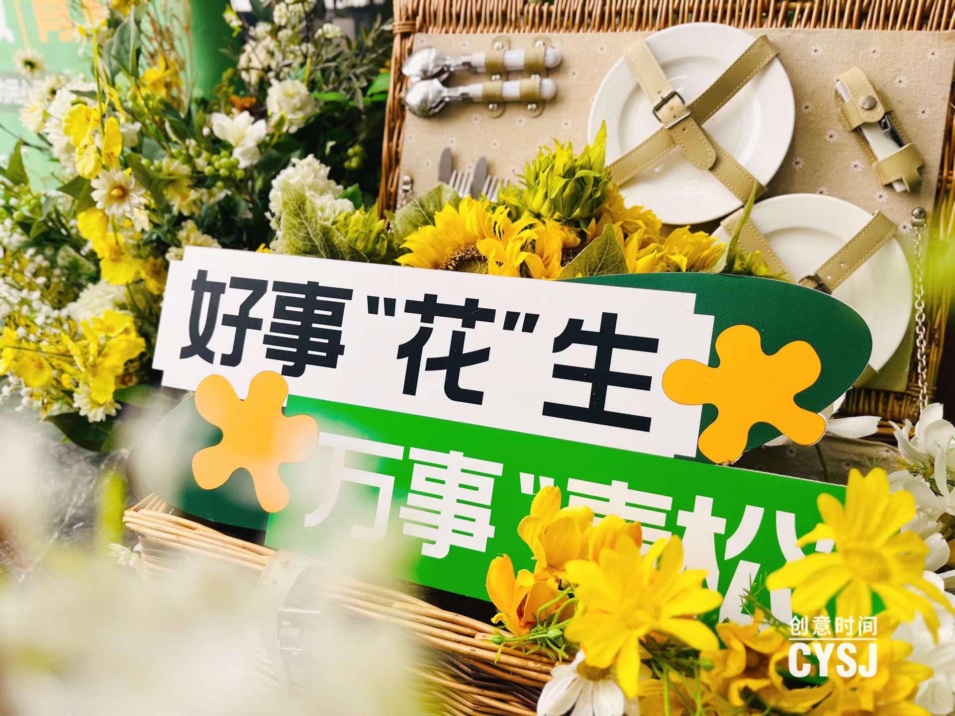 别卷了！今日宜“放青松”