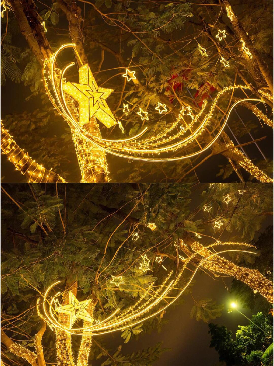 树木亮化