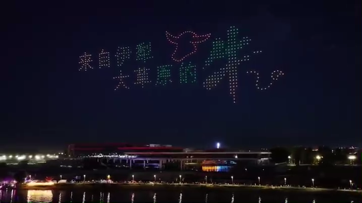新疆褐牛 赛牛大会500架无人机表演