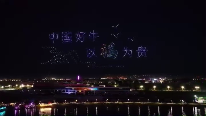新疆褐牛 赛牛大会500架无人机表演