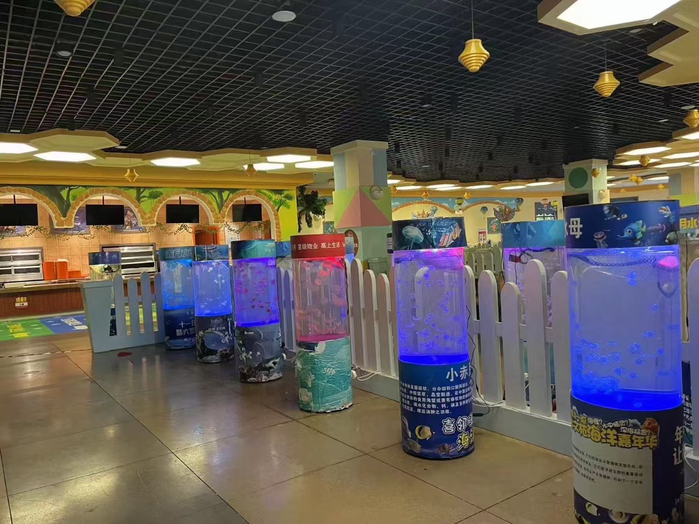 海洋展览出租，海洋生物展览出租