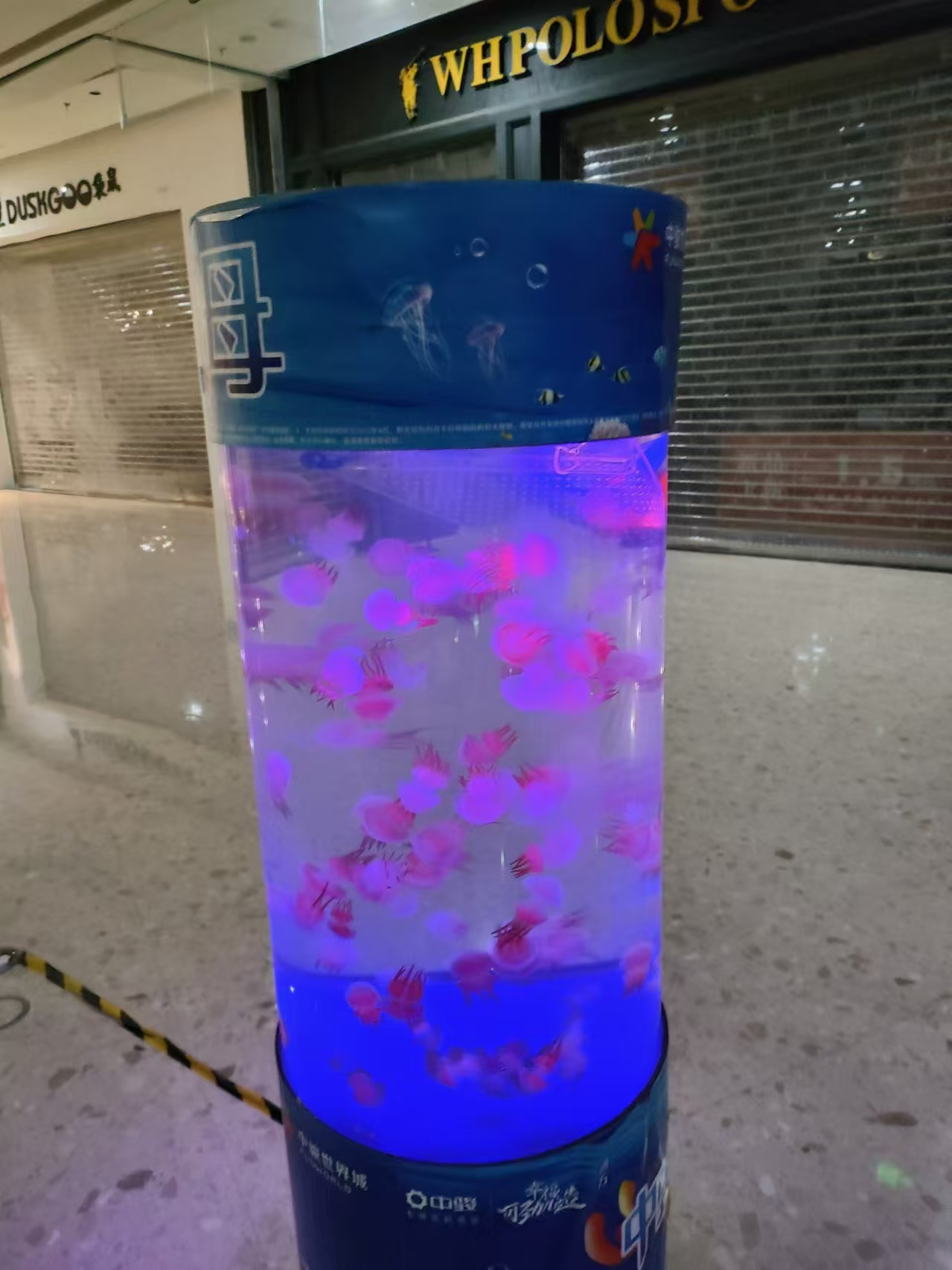 海洋展览出租，海洋生物展览出租