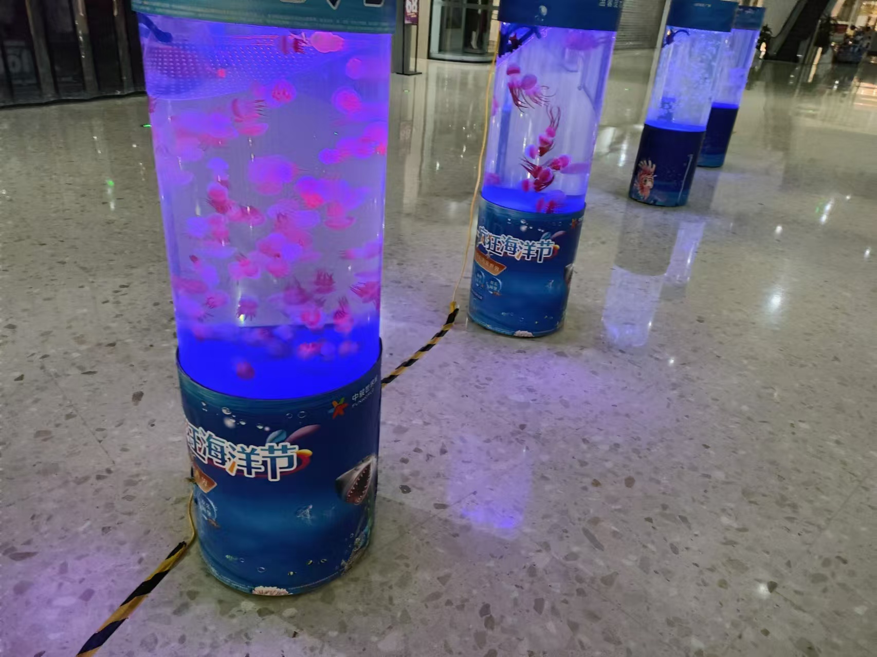 海洋展览出租，海洋生物展览出租