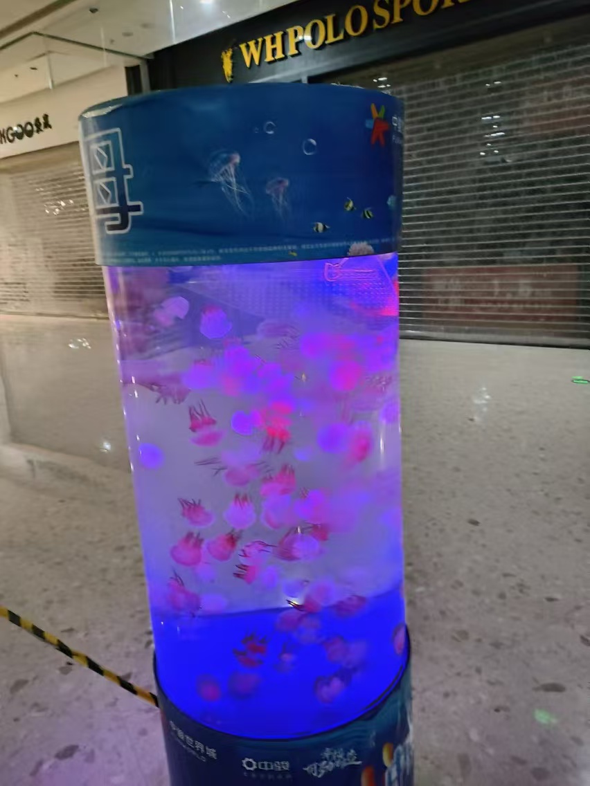 海洋展览出租，海洋生物展览出租
