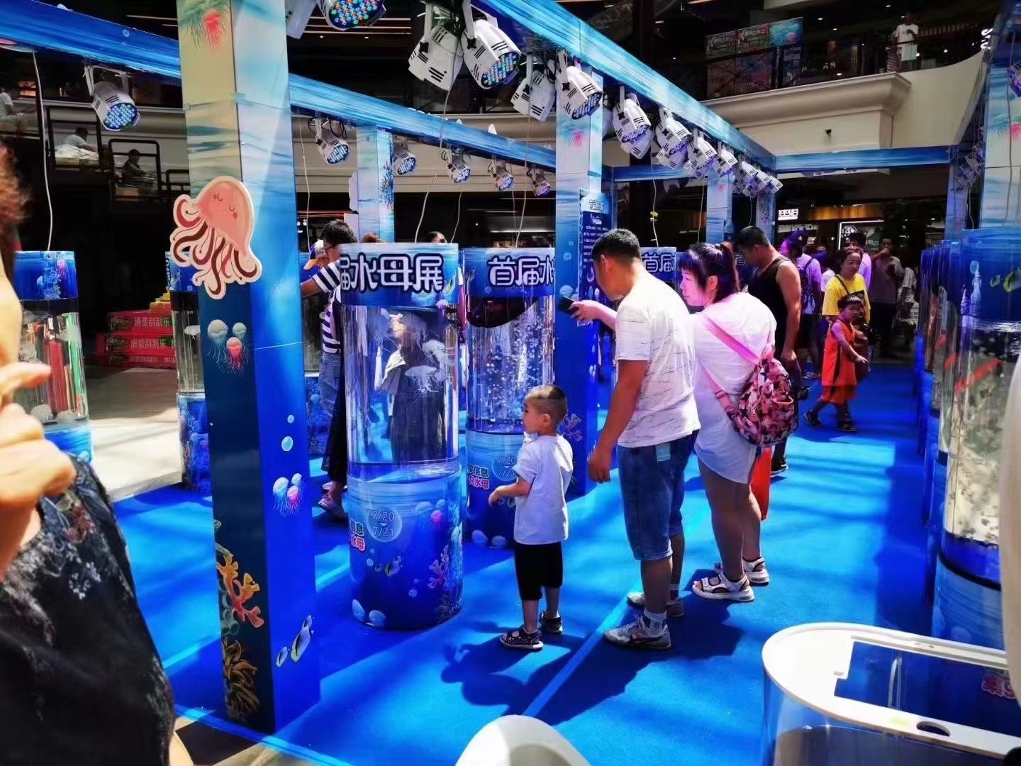 海洋展览出租，海洋生物展览出租