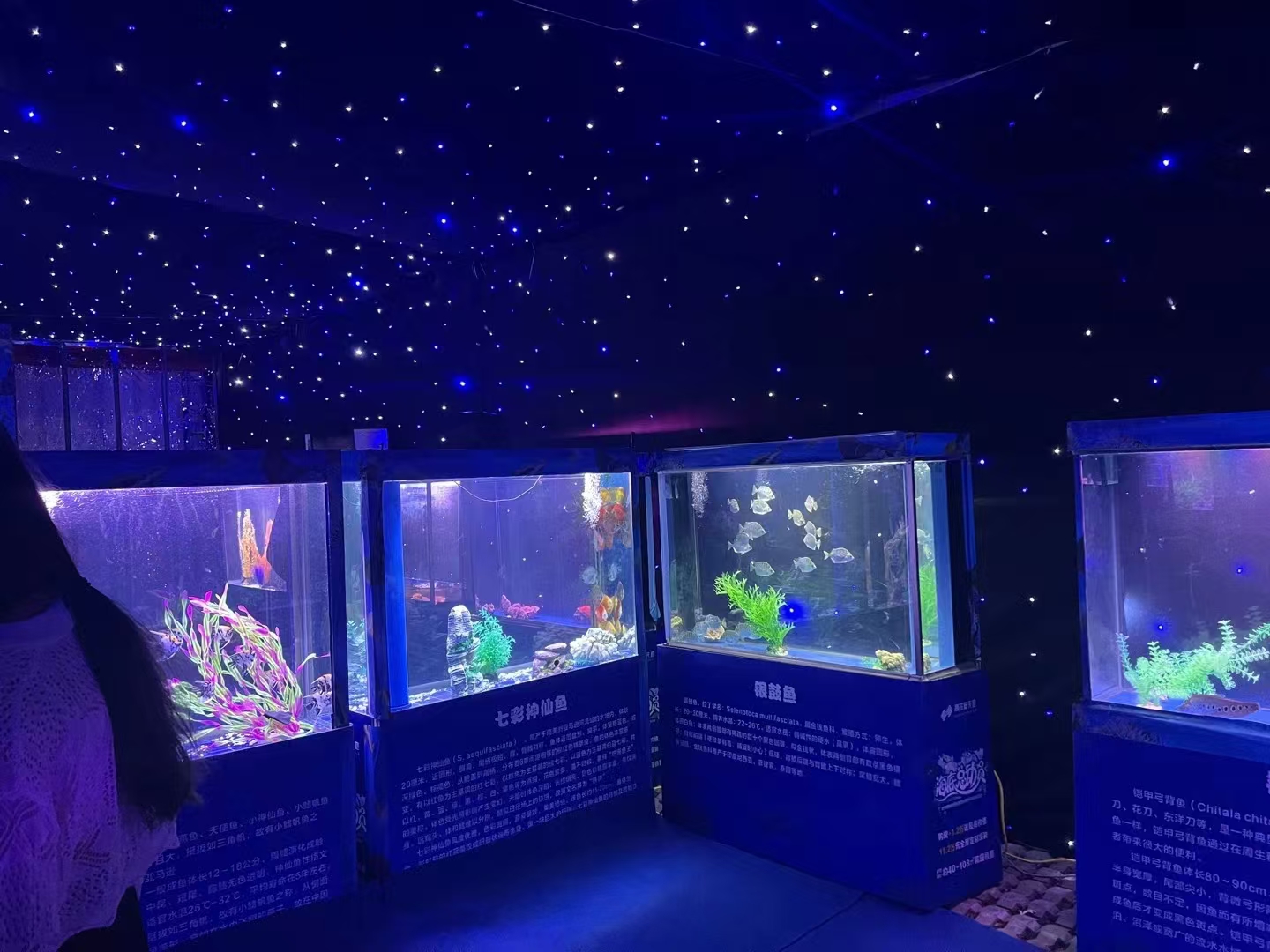 海洋展览出租，海洋生物展览出租