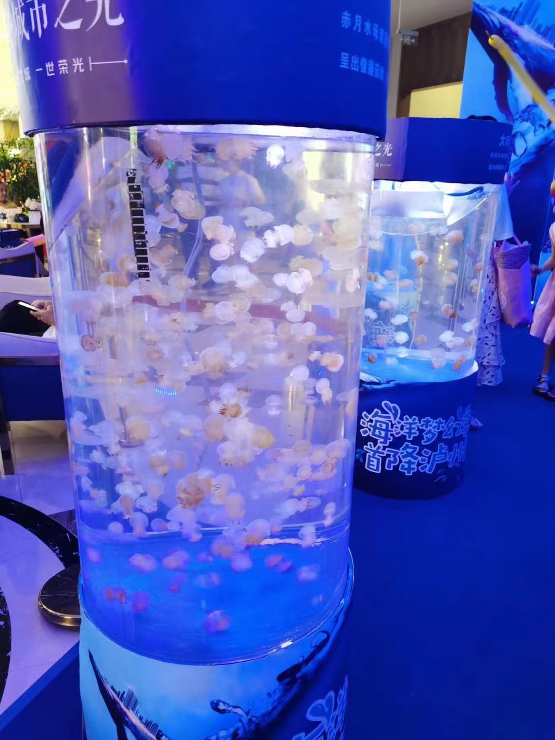 海洋展览出租，海洋生物展览出租