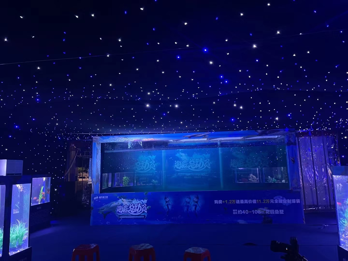 海洋展览出租，海洋生物展览出租