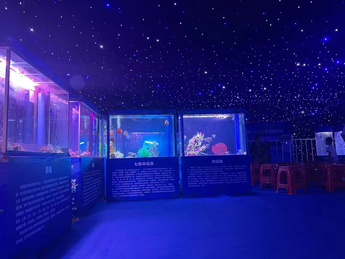 海洋展览出租，海洋生物展览出租
