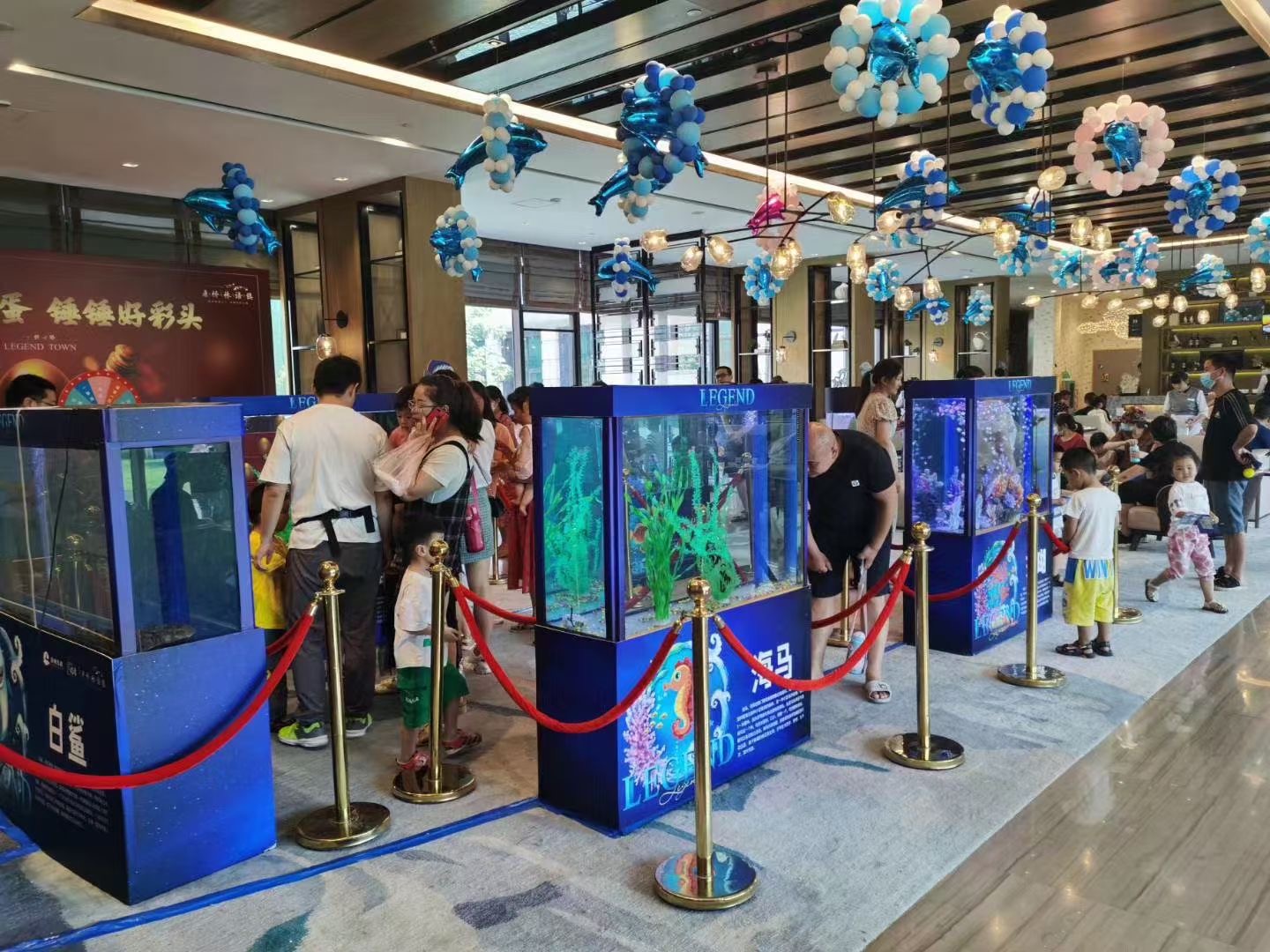 海洋展览出租，海洋生物展览出租