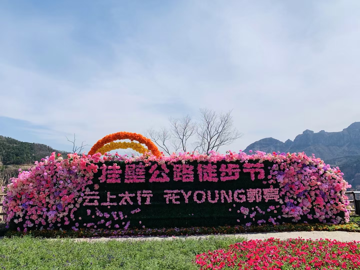 花艺绿植美陈布置