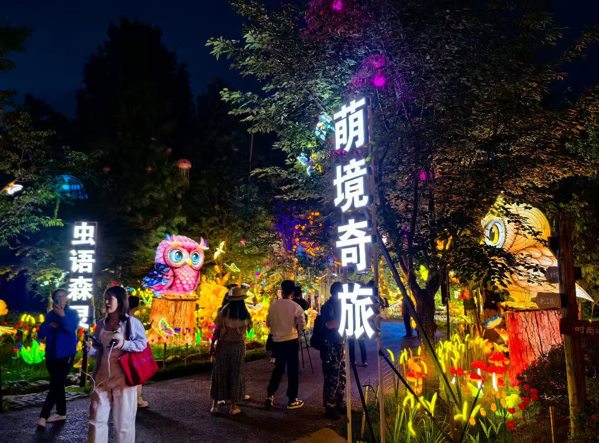 景区主题灯光亮化，不夜城场景打造