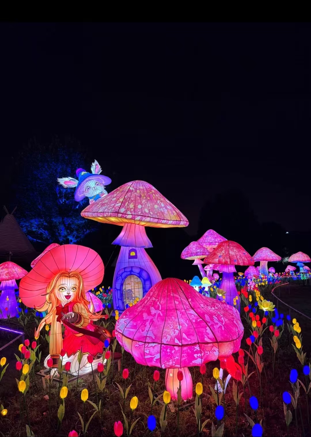 蘑菇主题彩灯展