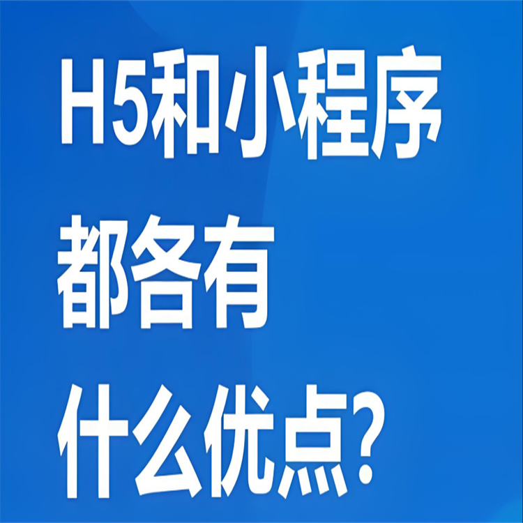 H5定制软件 小程序开发