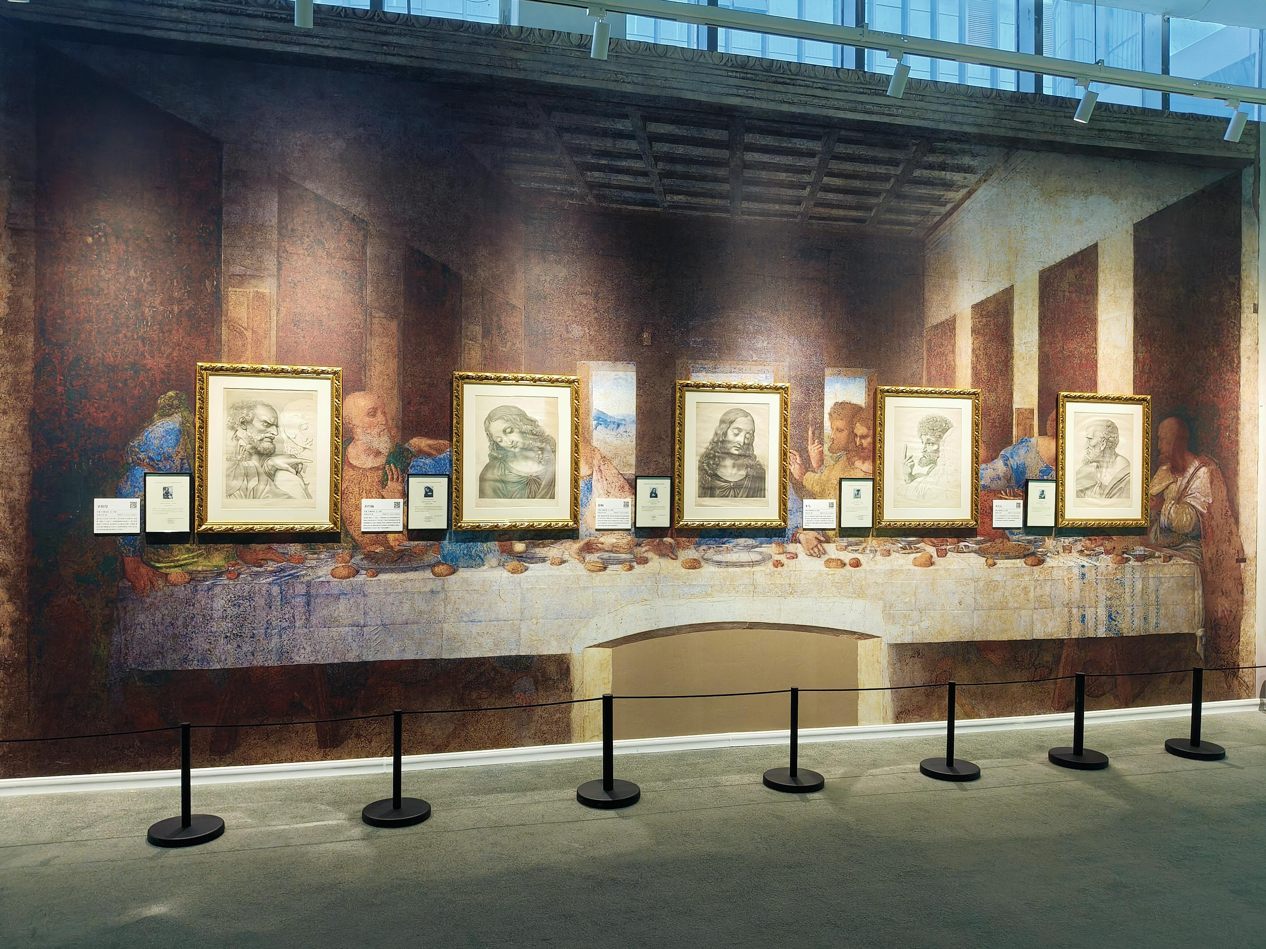 达芬奇.法国皇家图书馆馆藏.手稿展