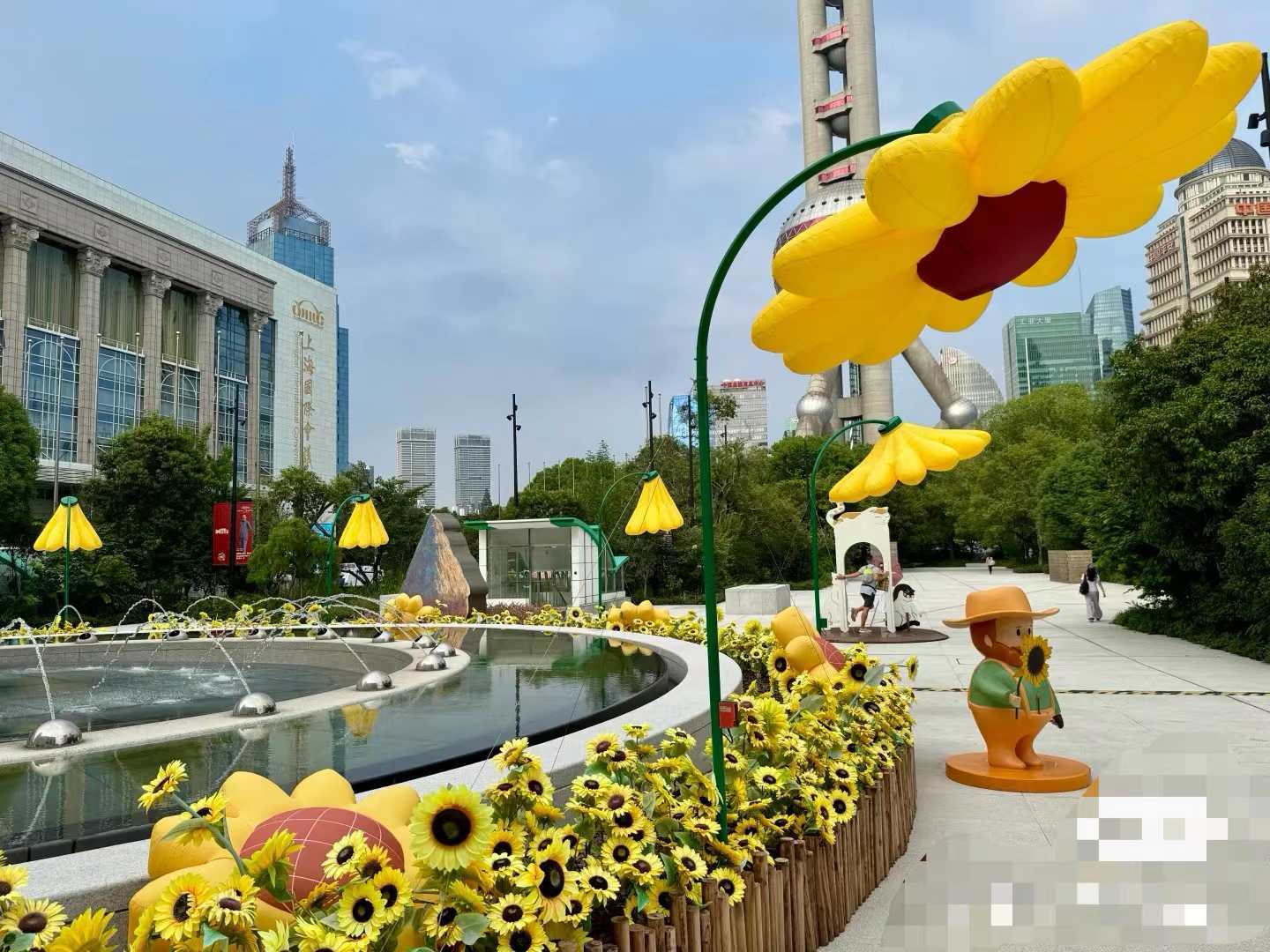 玫瑰开合花向日葵开合花