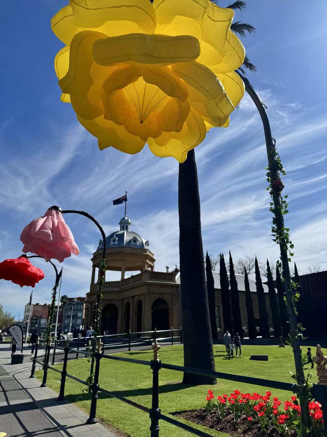 玫瑰开合花向日葵开合花