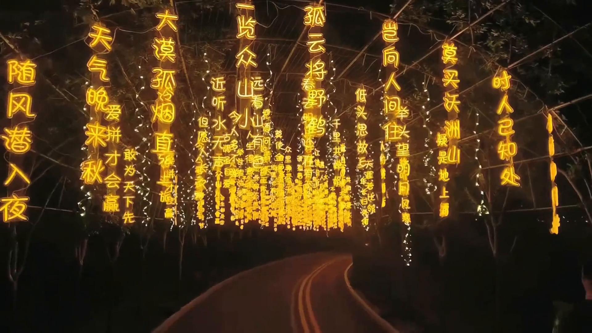 山东梦想小镇 古诗词天幕亮化