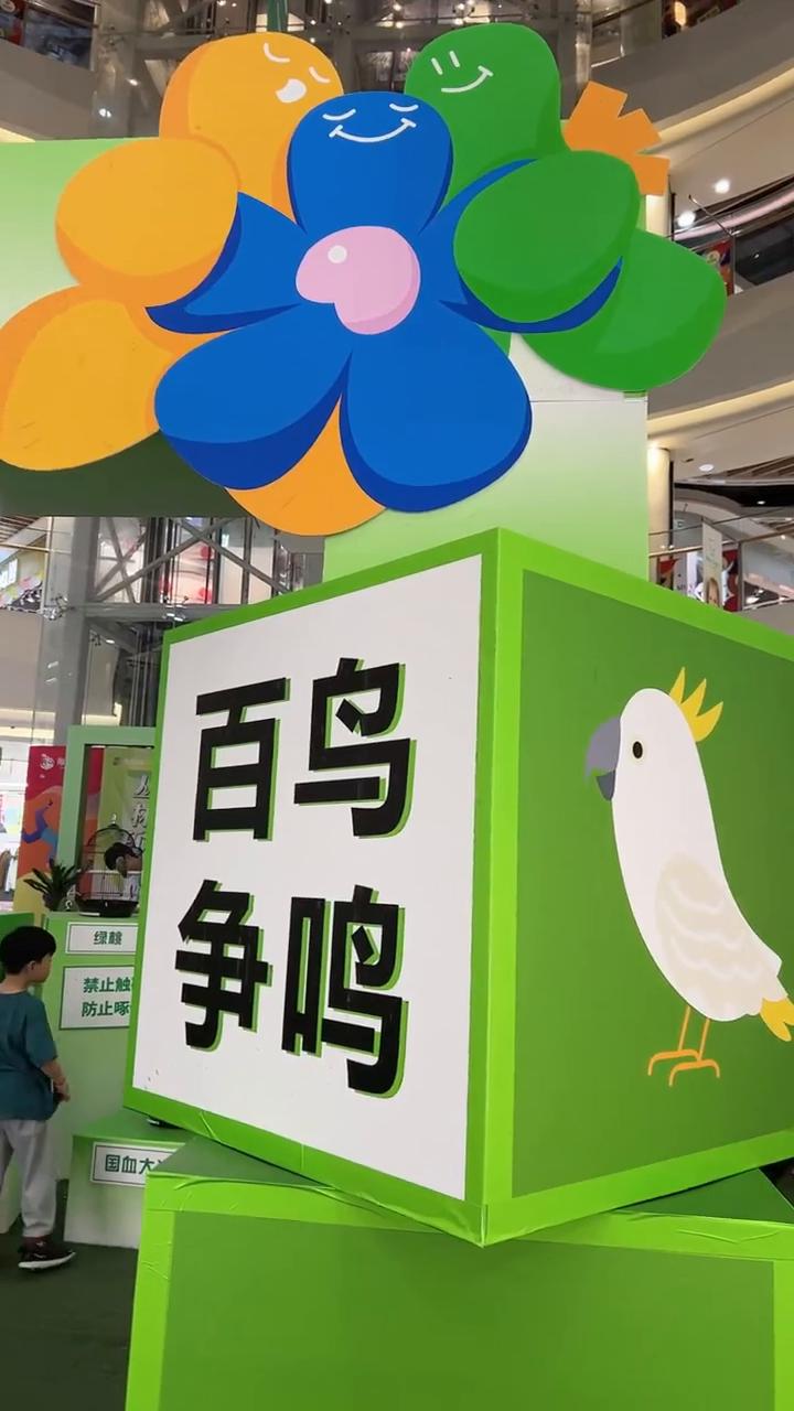 百鸟展鹦鹉<font style="color: #FF8F00 !important;">表演</font>全国出租商场引流方案出租庆典仪式,周年庆典,年度盛典年会季,元旦