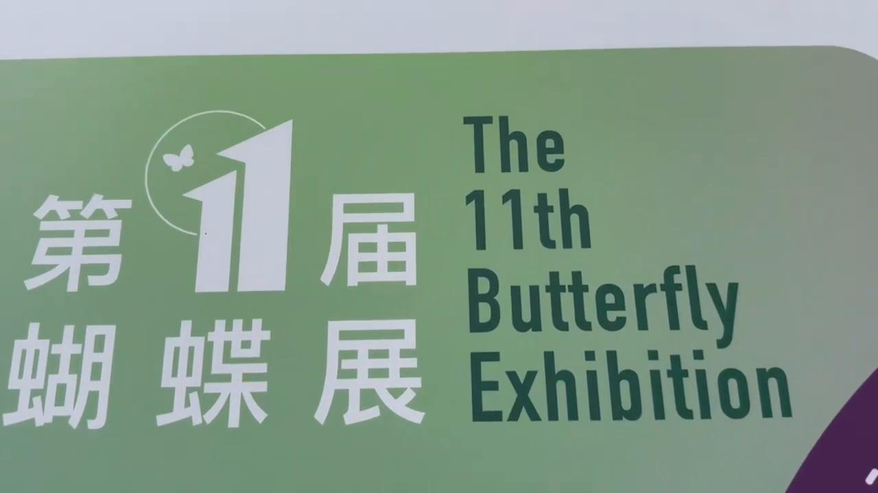 活体<font style="color: #FF8F00 !important;">蝴蝶</font>全国出售出租爬虫标本引流好资源庆典仪式,周年庆典,市集嘉年华,嘉年华劳动节,夏季