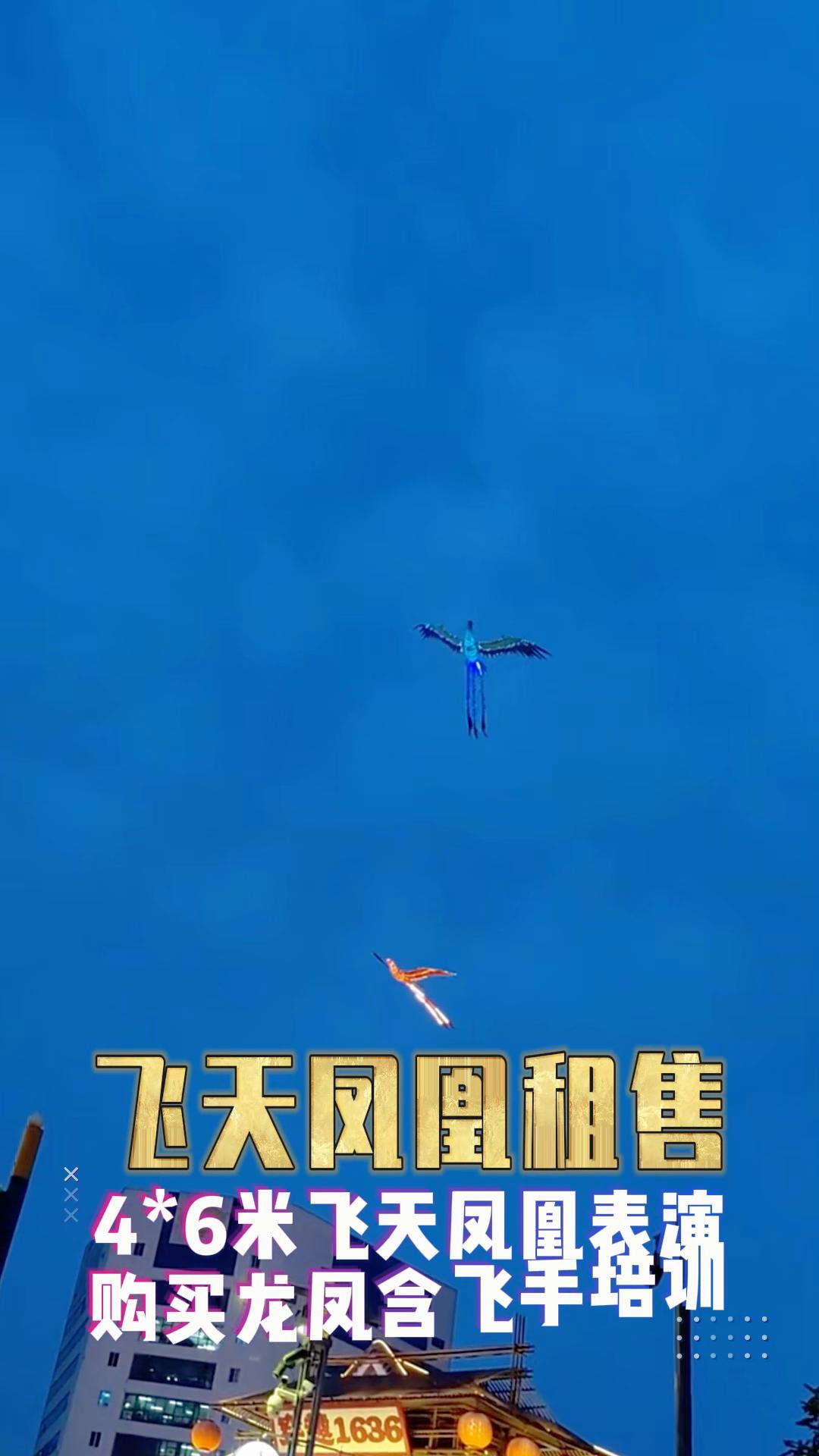福建宁德凤凰表演