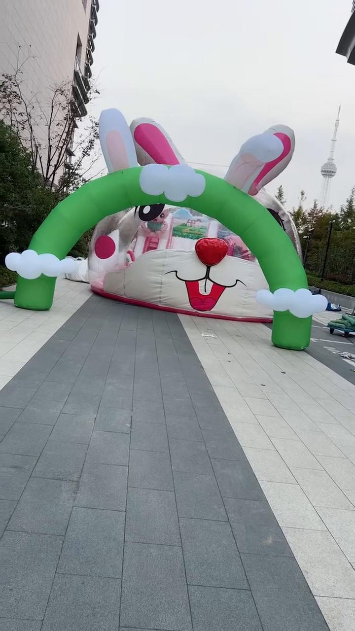 上海奉贤区  中澳城暖场活动兔子气模