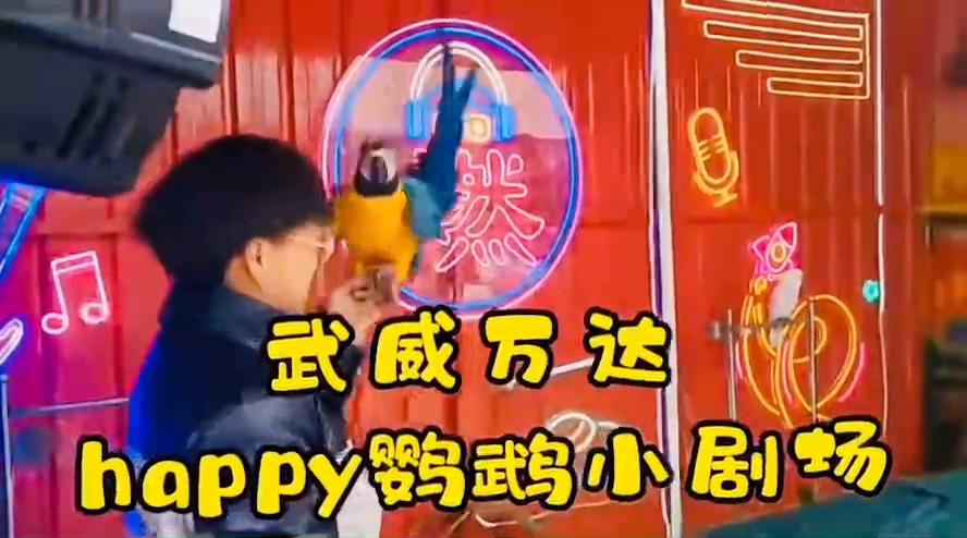 万达广场 武威 萌宠森林游园季